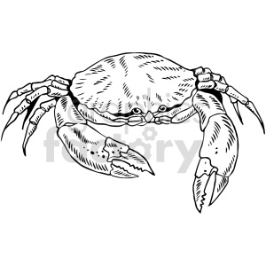 The image is a black-and-white line drawing of a crab. The crab has a prominent carapace, two large front claws, and multiple legs visible.