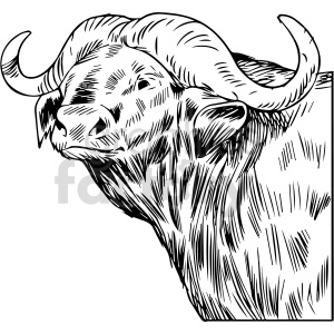 Line Art Illustration of an Ox Profile with Curved Horns