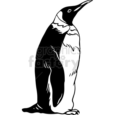 A black and white clipart image of a penguin, standing upright facing slightly to the left.