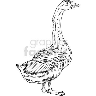 A black and white clipart image of a goose, featuring detailed line art.