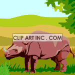 A rhinoceros eating grass in a lush background
