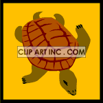 animated sea turtle