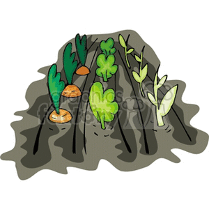 The clipart image depicts a small vegetable garden with various plants. There are several carrots with their green tops visible above the soil. Between the rows of carrots, there are also what appear to be lettuce or similar leafy greens in various stages of growth. The soil is shown in dark brown color, indicating the dirt typically found in gardens. The rows are raised slightly, suggesting a well-maintained garden setup with proper planting techniques.
