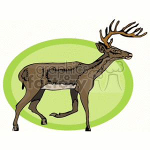 The clipart image shows a stylized illustration of a brown deer with prominent antlers depicted in mid-stride as if it is running. The animal is set against a background that includes a light green oval.
