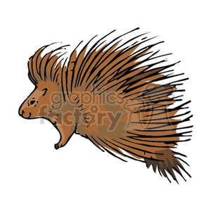 Illustration of a Brown Porcupine with Quills