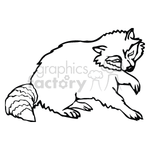 The line art drawing shows a raccoon standing on its paws, with one raised