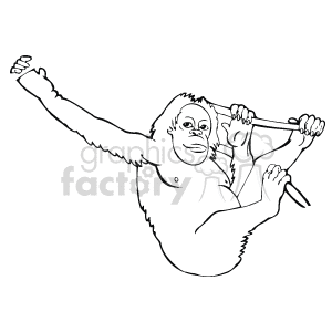 Line drawing of orangutan sitting in a tree