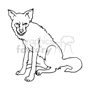 This line art image depicts a wild dog, with its head facing towards you. 