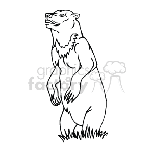 Grizly bear standing up line art