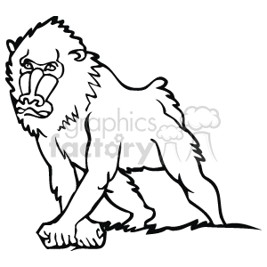 The line art drawing shows a baboon in a jungle or forest setting. It is walking on all fours and moving towards you. 