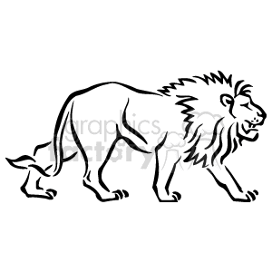 The image is a black-and-white line art or clipart of a lion. The lion is depicted in profile, walking to the right of the image. It features a detailed mane and a calm but alert expression, with its tail slightly raised as it moves. This type of image is often used for illustrations, logos, and decorations.
