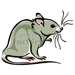 The image is a simple clipart illustration of a mouse. The mouse is depicted in a side profile, with detailing that includes large whiskers, a pointed snout, rounded ears, and a long, thin tail. The coloring is primarily shades of grey with some white and a hint of greenish tint.