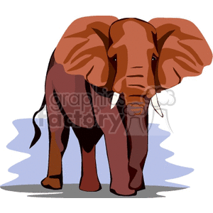 The image depicts a stylized, cartoon-like illustration of an elephant. The elephant is shown standing with its full body visible, large ears flared out, and a long trunk hanging down. It appears to be a representation of an African elephant due to the large ears and is set against a simple, abstract background.