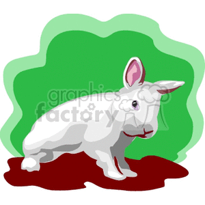 White bunny rabbit with pink ears