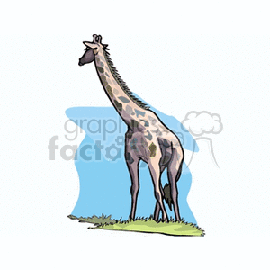 The image is a clipart illustration of a single giraffe standing on a patch of grass. The giraffe has a long neck and is depicted in a side profile, showcasing its unique body shape and spots. There is a simple blue background that contrasts with the giraffe.