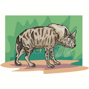 Hyena standing next to tall green grass