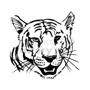 The clipart image depicts the face of a tiger in a black and white illustration. The image shows the tiger's facial features including its stripes, eyes, nose, whiskers, and ears with a focus on detail and expression.