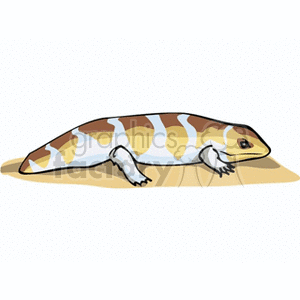 The image features a stylized cartoon of a chubby lizard-like creature with a pattern of tan, white, and brown stripes. It has short limbs and a heavy-set body shape, which are characteristics often associated with skinks. However, this illustration is a simplified representation and might not accurately depict a specific species.