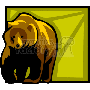 Brown grizzly bear