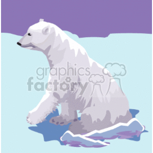 The clipart image shows a white polar bear sitting on its hind legs and facing forward. The polar bear appears to be looking straight ahead with its arms resting on ice.