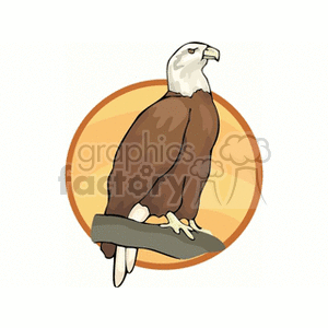 The image features an illustrated American bald eagle, a birdknown for being a powerful predator. The eagle is perched, with its white head and brown body prominently displayed against a simple, orange-yellow backdrop.