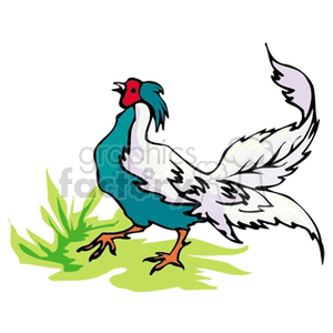 Colorful clipart image of a rooster standing on grass with an elaborate tail and vibrant feather patterns.