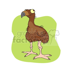 Clipart image of a cartoon dodo bird standing against a green background.
