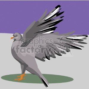 Clipart image of a grey pigeon with outstretched wings, displaying black and white feathers against a purple and grey background.