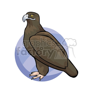 Clipart image of a brown eagle standing in front of a blue circular background