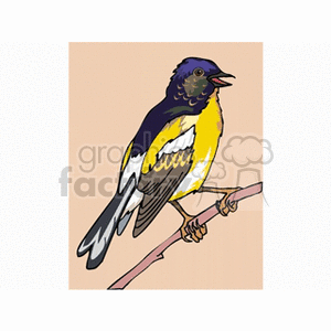 A colorful clipart image of a bird with yellow, black, and white feathers perched on a branch.