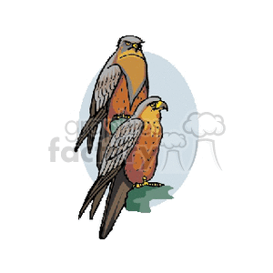 Clipart image of two birds of prey perched on a branch