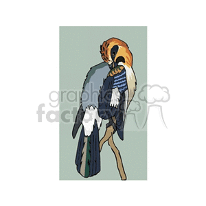 Clipart image of a colorful bird perched on a branch, with vibrant feathers in shades of blue, orange, and white.