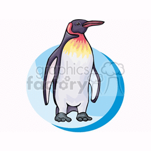 A clipart image of a cartoon penguin standing against a blue circular background.