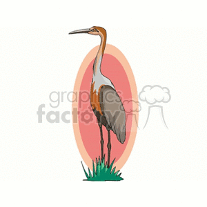 Crane with pink and peach background