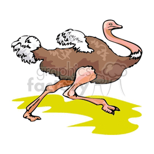 A colorful clipart image of an ostrich running on a patch of yellow grass.