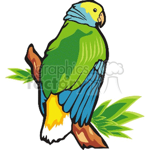 Colorful clipart illustration of a parrot perched on a branch with green leaves.