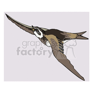 A clipart illustration of a bird in flight with its wings spread wide.