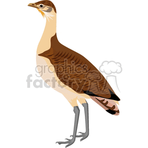 Clipart image of a brown and beige bird standing on two legs.