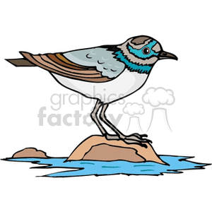 A clipart image of a bird standing on a rock near water. The bird has a small beak and is depicted in various shades of white, brown, and blue.