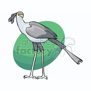 A clipart image of a secretary bird standing with a green oval background. The bird has long legs, a hooked beak, and distinctive black crest feathers.