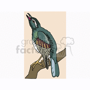 This clipart image features a detailed, colorful illustration of a bird perched on a branch. The bird has green and blue feathers with red accents and is looking upward with its beak open.