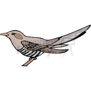 A clipart image of a bird perched on a branch. The bird has a long tail with a spotted pattern and features a mix of brown and beige colors.
