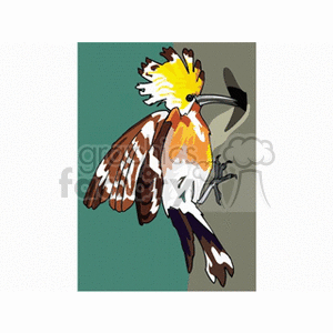 Clipart image of a colorful bird with an orange, brown, and white plumage. The bird has a notable yellow crest and is set against a green and gray background.