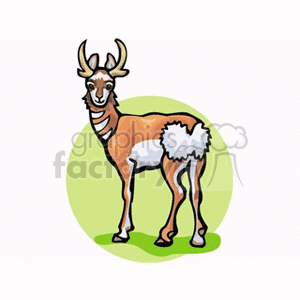 The image is a clipart representation of a gazelle, which appears to be standing on a green background. The gazelle is characterized by its slender body, long legs, and curved horns.