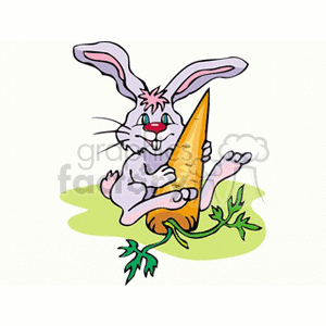 In the clipart image, there is a cartoon of a grey rabbit or bunny sitting on a green patch. The rabbit has large ears, a cute facial expression, and appears to be holding and possibly eating a large orange carrot with green leaves at its end.