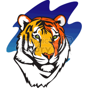   The image is a clipart of a tiger