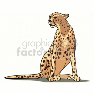 The image is a clipart illustration of a cheetah sitting down. The cheetah has a tan coat with black spots, representing its distinctive spotted fur pattern.