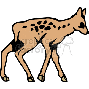 The clipart image depicts a stylized representation of a young deer, known as a fawn, with recognizable spots on its back, which is characteristic of many fawn species for camouflage. The fawn appears to be walking, with its head turned to the side.