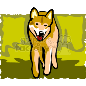 The clipart image shows a cartoon of a head-on view of a dingo or wolf with pointed ears. It is standing on the grass

