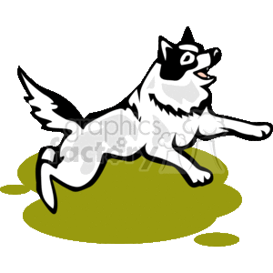 The clipart image shows a small collie type dog jumping in the air. It has a black patch over one eye and is white all over otherwise. It's running on grass 
